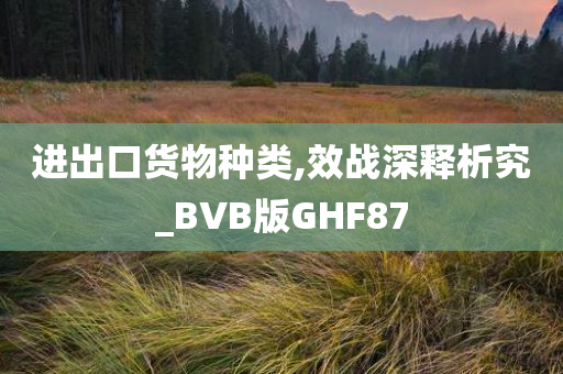 进出口货物种类,效战深释析究_BVB版GHF87