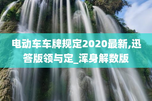 电动车车牌规定2020最新,迅答版领与定_浑身解数版