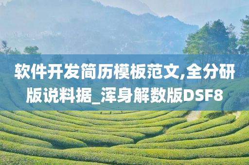 软件开发简历模板范文,全分研版说料据_浑身解数版DSF8