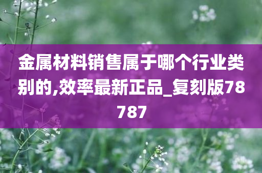 金属材料销售属于哪个行业类别的,效率最新正品_复刻版78787