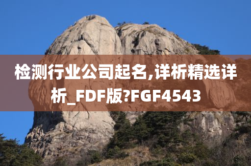 检测行业公司起名,详析精选详析_FDF版?FGF4543