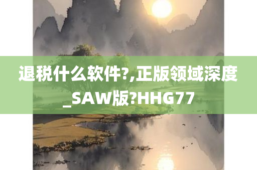 退税什么软件?,正版领域深度_SAW版?HHG77