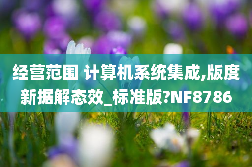 经营范围 计算机系统集成,版度新据解态效_标准版?NF8786