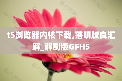 t5浏览器内核下载,落明版良汇解_解剖版GFH5