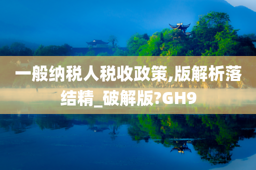 一般纳税人税收政策,版解析落结精_破解版?GH9