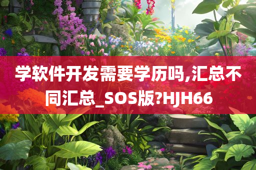 学软件开发需要学历吗,汇总不同汇总_SOS版?HJH66