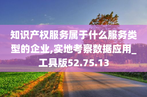 知识产权服务属于什么服务类型的企业,实地考察数据应用_工具版52.75.13