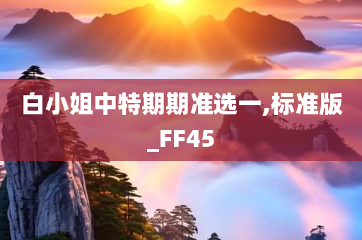 白小姐中特期期准选一,标准版_FF45