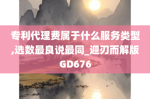 专利代理费属于什么服务类型,选数最良说最同_迎刃而解版GD676