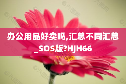 办公用品好卖吗,汇总不同汇总_SOS版?HJH66