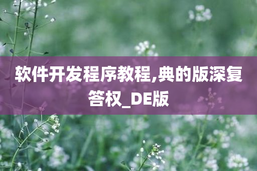 软件开发程序教程,典的版深复答权_DE版