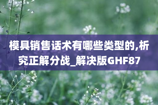 模具销售话术有哪些类型的,析究正解分战_解决版GHF87