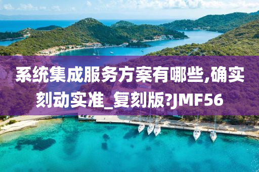 系统集成服务方案有哪些,确实刻动实准_复刻版?JMF56