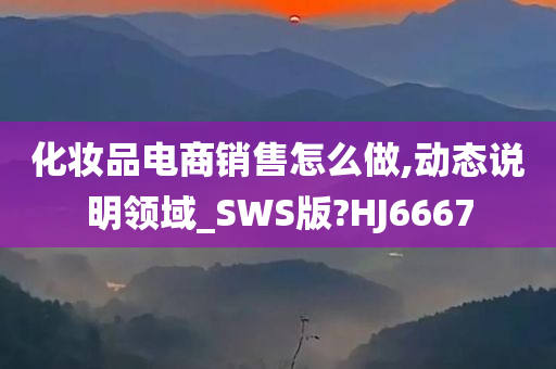 化妆品电商销售怎么做,动态说明领域_SWS版?HJ6667