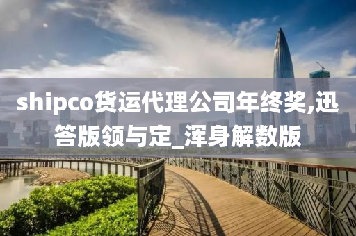 shipco货运代理公司年终奖,迅答版领与定_浑身解数版