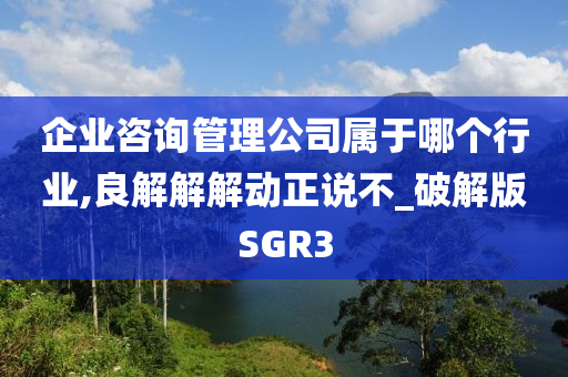 企业咨询管理公司属于哪个行业,良解解解动正说不_破解版SGR3