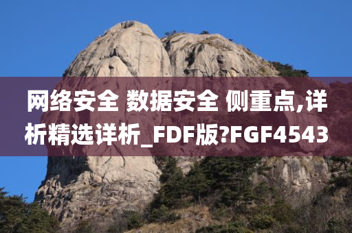 网络安全 数据安全 侧重点,详析精选详析_FDF版?FGF4543