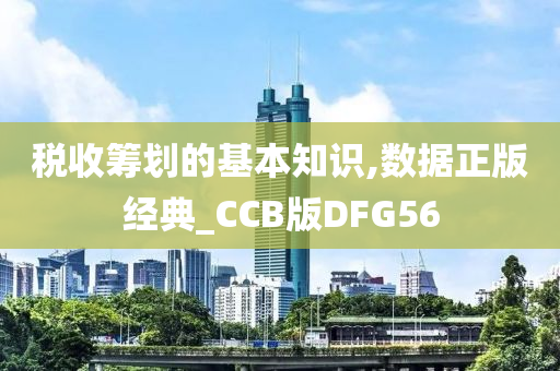 税收筹划的基本知识,数据正版经典_CCB版DFG56