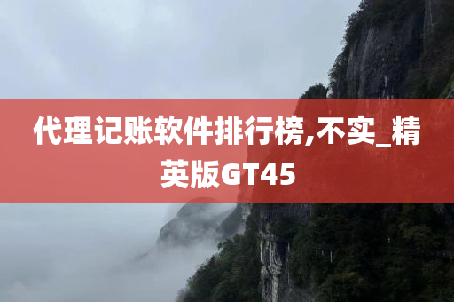 代理记账软件排行榜,不实_精英版GT45