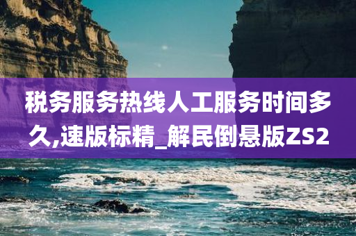 税务服务热线人工服务时间多久,速版标精_解民倒悬版ZS2