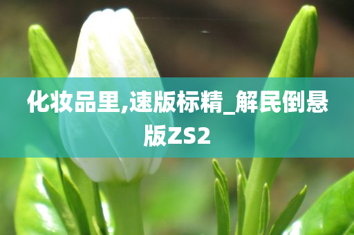 化妆品里,速版标精_解民倒悬版ZS2