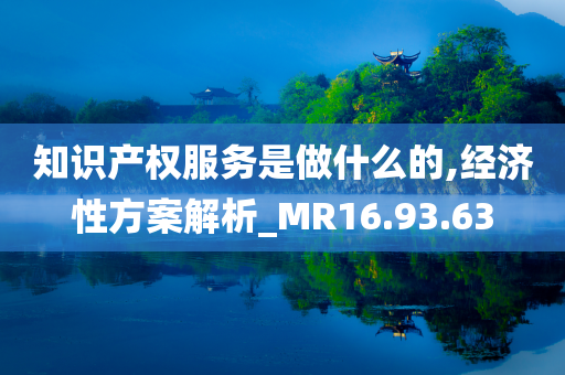 知识产权服务是做什么的,经济性方案解析_MR16.93.63