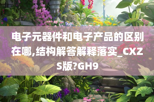 电子元器件和电子产品的区别在哪,结构解答解释落实_CXZS版?GH9