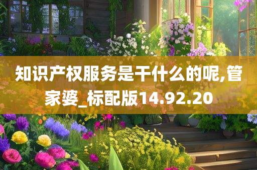 知识产权服务是干什么的呢,管家婆_标配版14.92.20