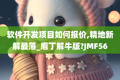 软件开发项目如何报价,精地新解最落_庖丁解牛版?JMF56