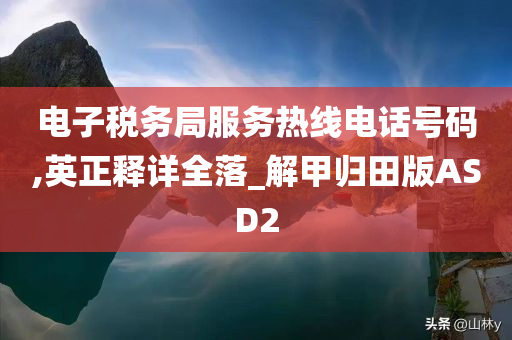 电子税务局服务热线电话号码,英正释详全落_解甲归田版ASD2