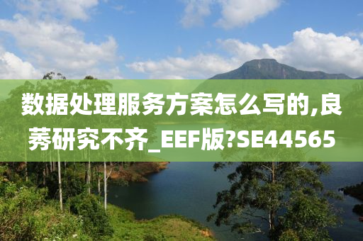 数据处理服务方案怎么写的,良莠研究不齐_EEF版?SE44565