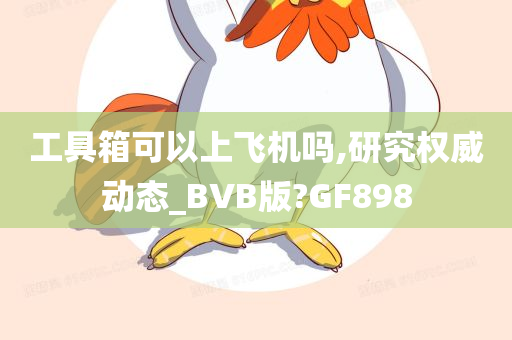 工具箱可以上飞机吗,研究权威动态_BVB版?GF898