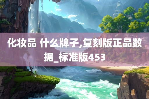 化妆品 什么牌子,复刻版正品数据_标准版453