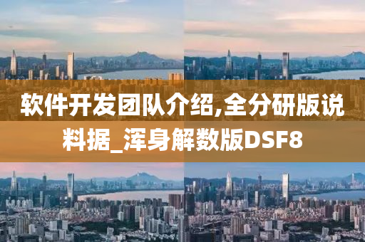 软件开发团队介绍,全分研版说料据_浑身解数版DSF8