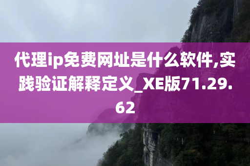 代理ip免费网址是什么软件,实践验证解释定义_XE版71.29.62