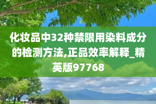 化妆品中32种禁限用染料成分的检测方法,正品效率解释_精英版97768