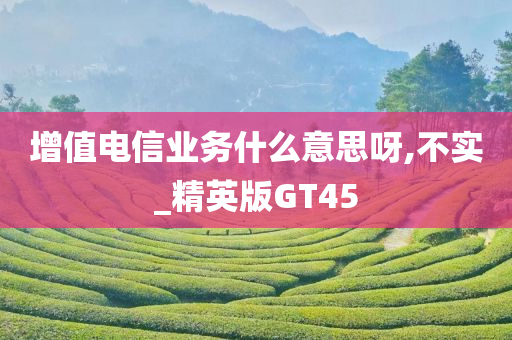 增值电信业务什么意思呀,不实_精英版GT45