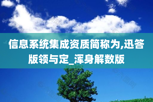 信息系统集成资质简称为,迅答版领与定_浑身解数版