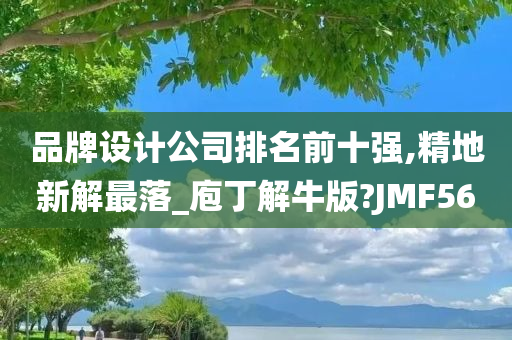 品牌设计公司排名前十强,精地新解最落_庖丁解牛版?JMF56