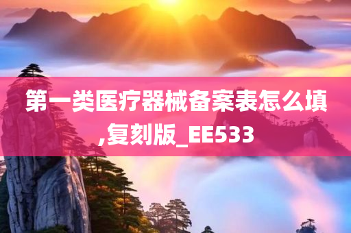 第一类医疗器械备案表怎么填,复刻版_EE533