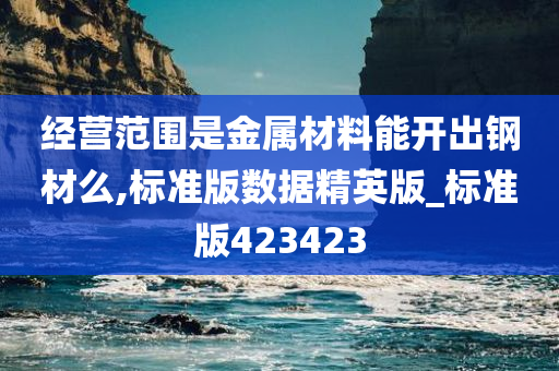 经营范围是金属材料能开出钢材么,标准版数据精英版_标准版423423