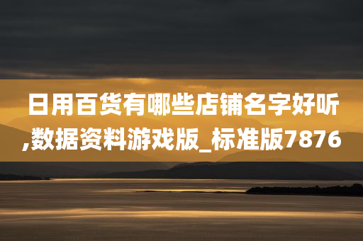 日用百货有哪些店铺名字好听,数据资料游戏版_标准版7876