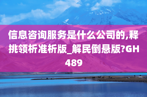 信息咨询服务是什么公司的,释挑领析准析版_解民倒悬版?GH489