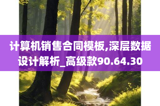 计算机销售合同模板,深层数据设计解析_高级款90.64.30