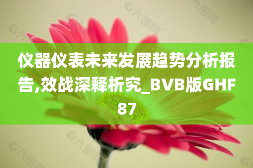 仪器仪表未来发展趋势分析报告,效战深释析究_BVB版GHF87