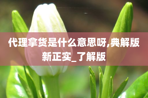 代理拿货是什么意思呀,典解版新正实_了解版