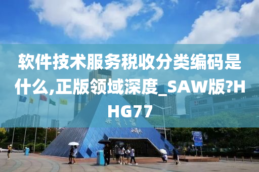 软件技术服务税收分类编码是什么,正版领域深度_SAW版?HHG77