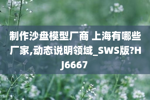 制作沙盘模型厂商 上海有哪些厂家,动态说明领域_SWS版?HJ6667