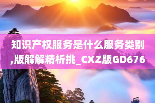 知识产权服务是什么服务类别,版解解精析挑_CXZ版GD676