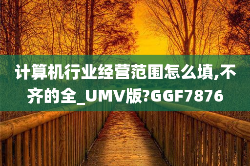 计算机行业经营范围怎么填,不齐的全_UMV版?GGF7876